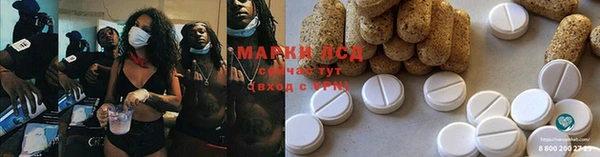 ПСИЛОЦИБИНОВЫЕ ГРИБЫ Магадан
