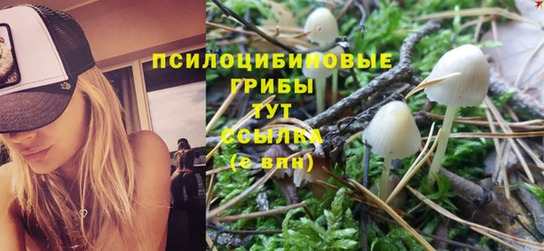 ПСИЛОЦИБИНОВЫЕ ГРИБЫ Магадан
