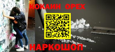 стафф Гай