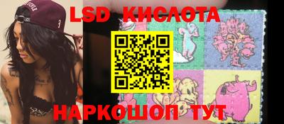 стафф Гай