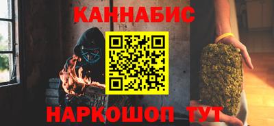 стафф Гай