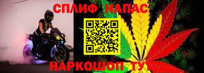 apvp Гатчина