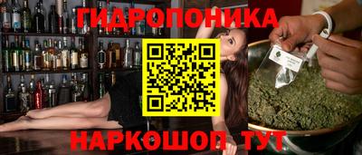 стафф Гай