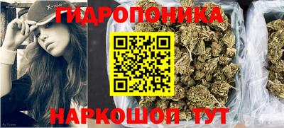 apvp Гатчина