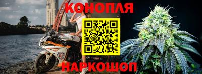 стафф Гай