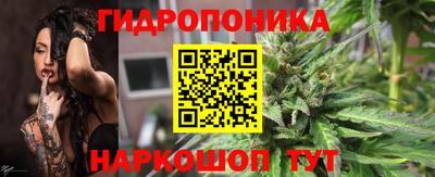 apvp Гатчина