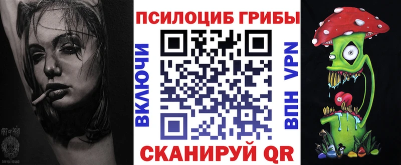 Псилоцибиновые грибы Magic Shrooms  KRAKEN ССЫЛКА  Сосновый Бор 