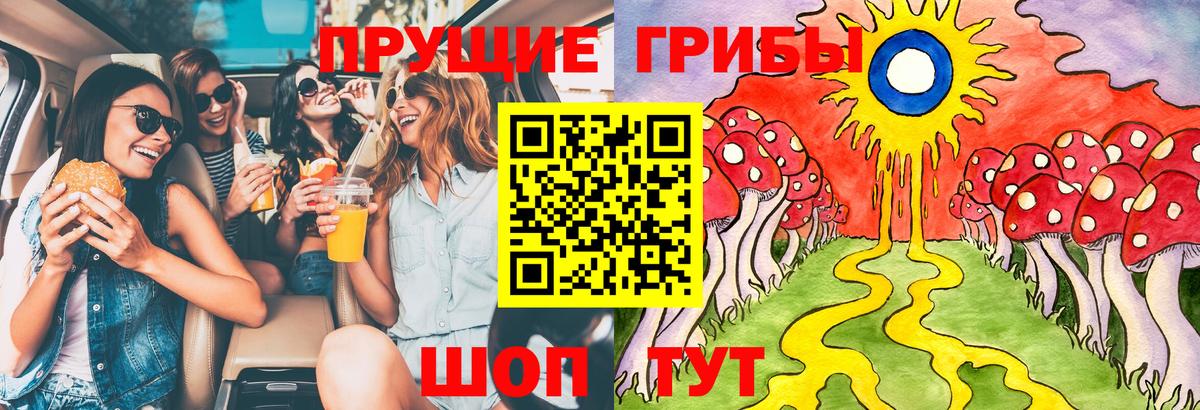 Псилоцибиновые грибы Cubensis Сосновый Бор