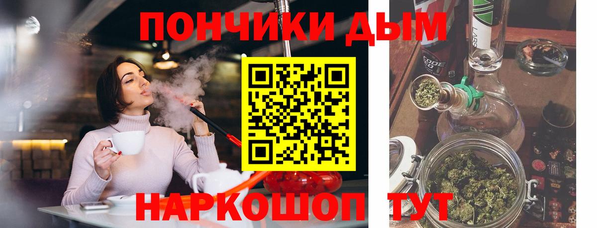 Конопля SATIVA & INDICA Сосновый Бор